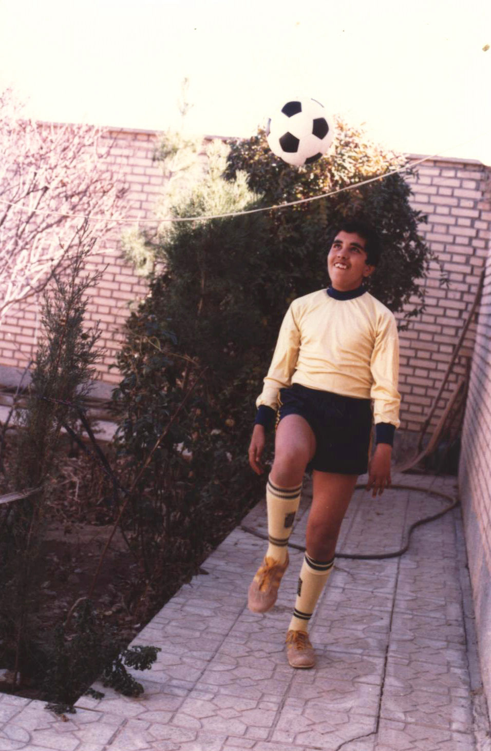 Omid Sayareh American Iranian music Composer and Santour Player in Los Angeles