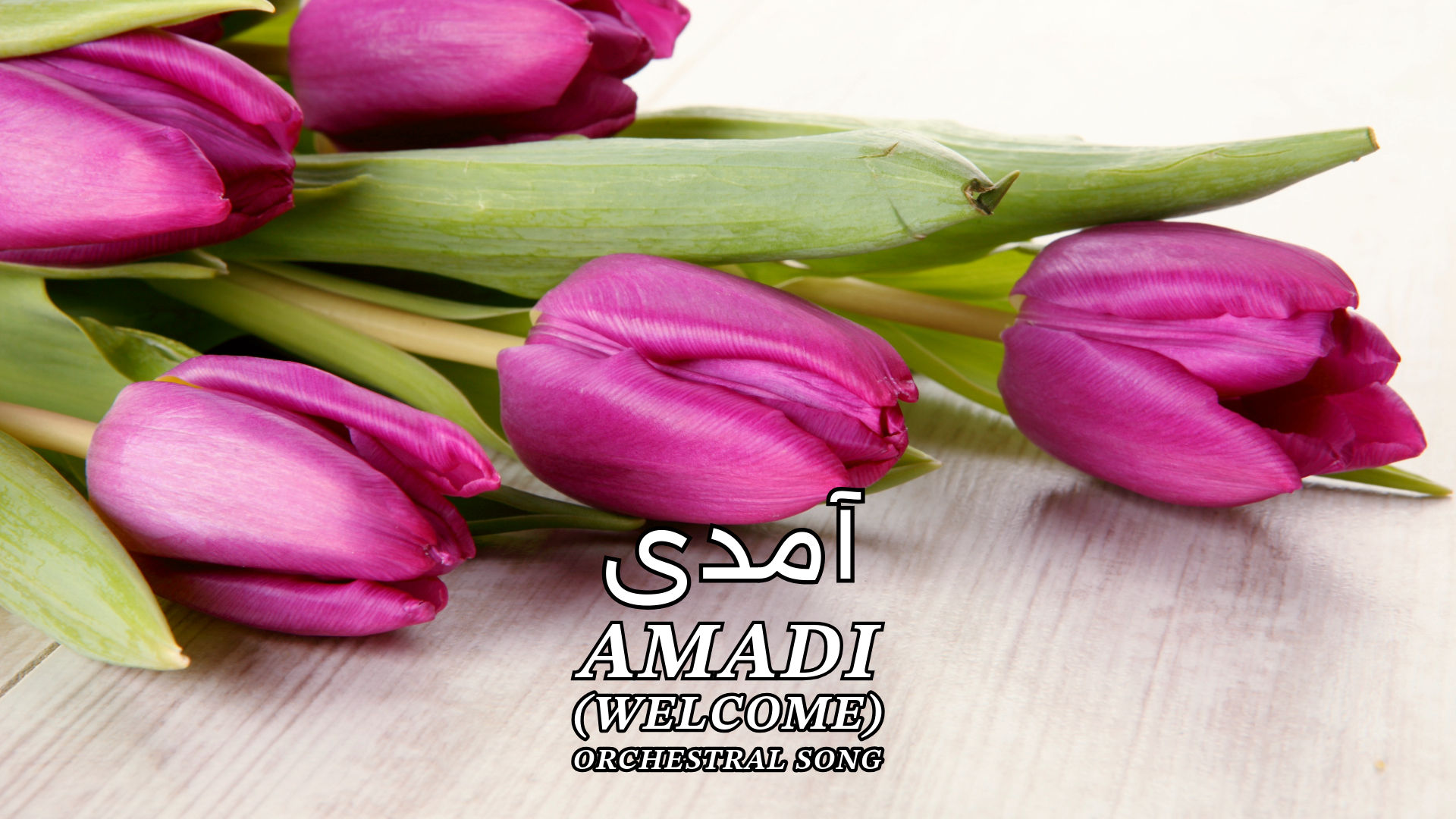 omid sayareh music composer video clips