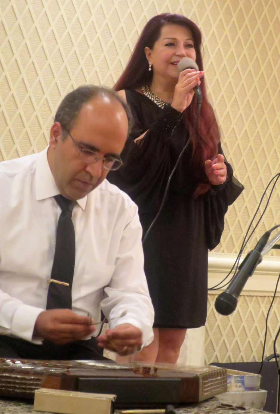 Omid Sayareh Iranian American Music Composed and Santour Player