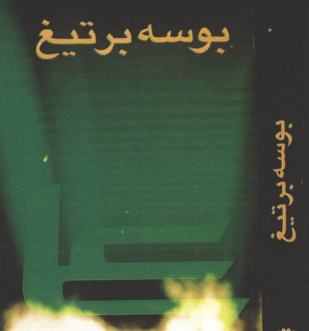 Omid Sayareh Iranian American Music Composed and Santour Player