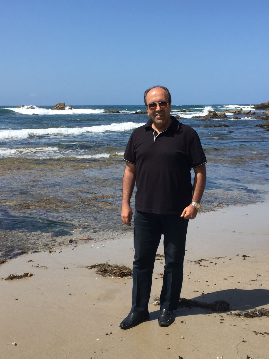 Omid Sayareh Iranian American Music Composed and Santour Player