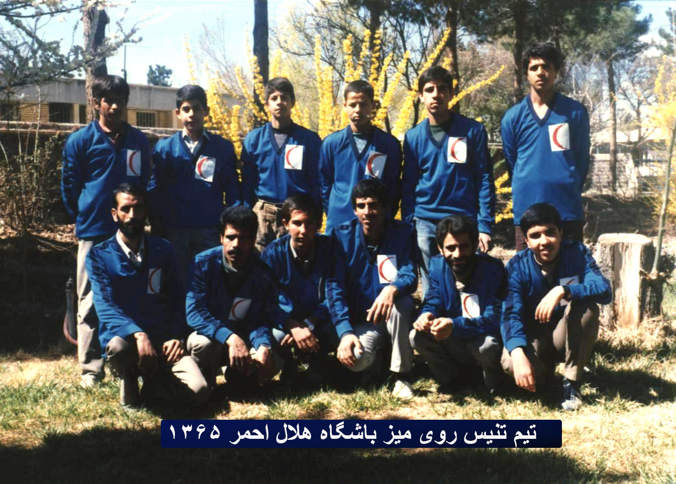 Omid Sayareh American Iranian music Composer and Santour Player in Los Angeles