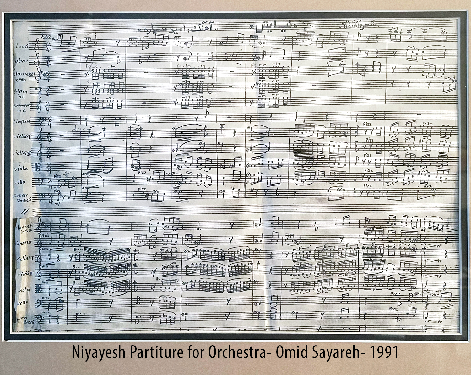 Omid Sayareh American Iranian Santour Music Composer