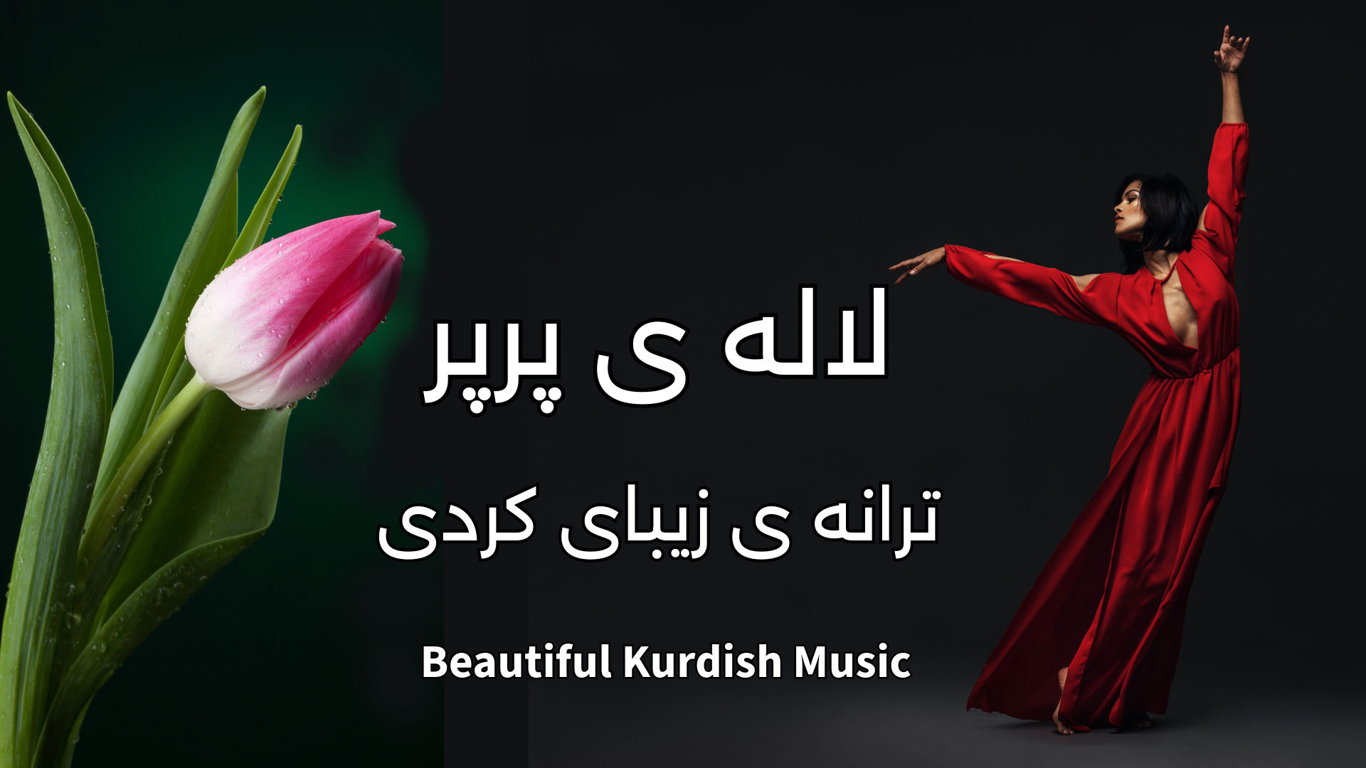 omid sayareh music composer video clips