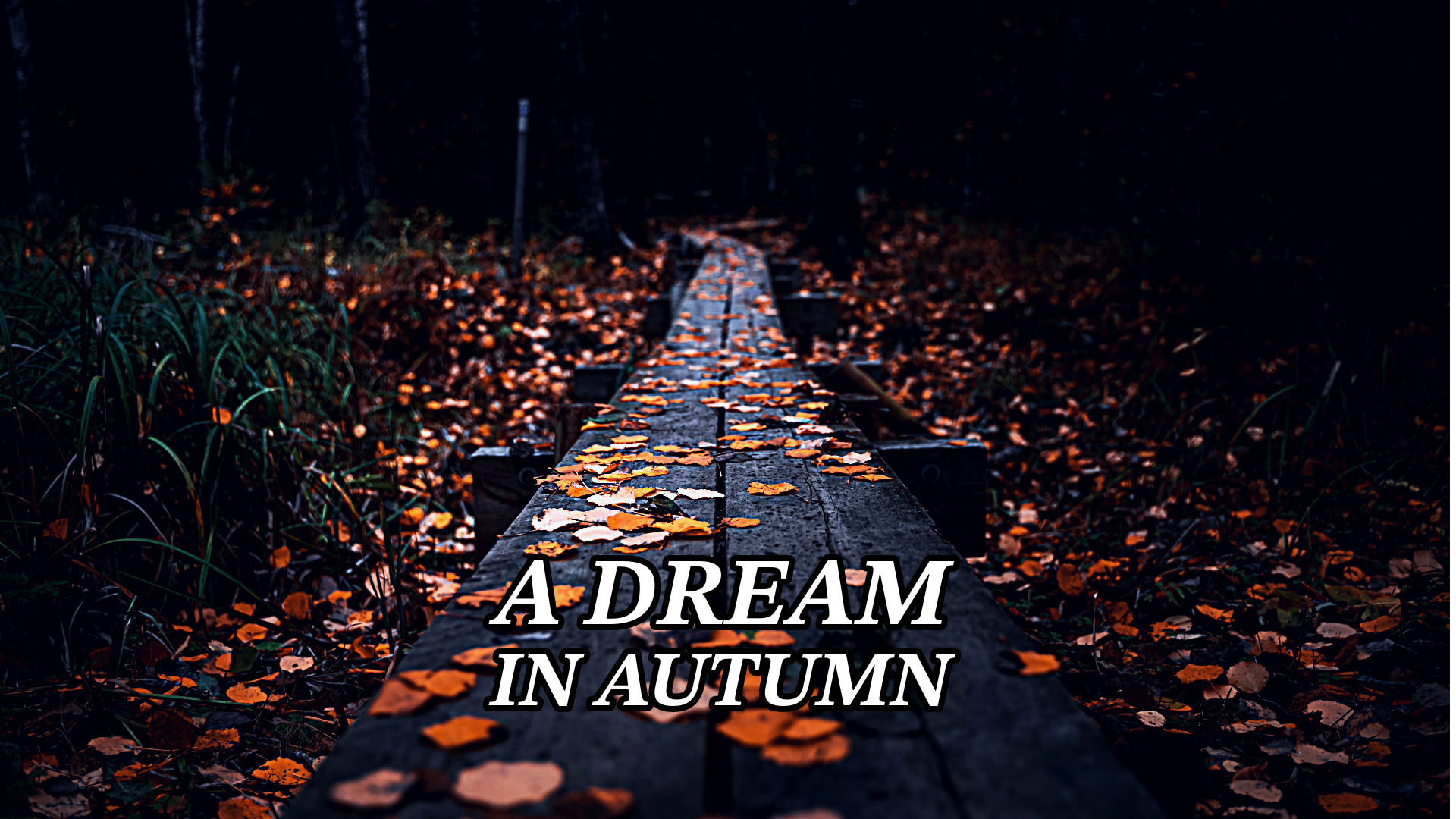 omid sayareh music composer video clips