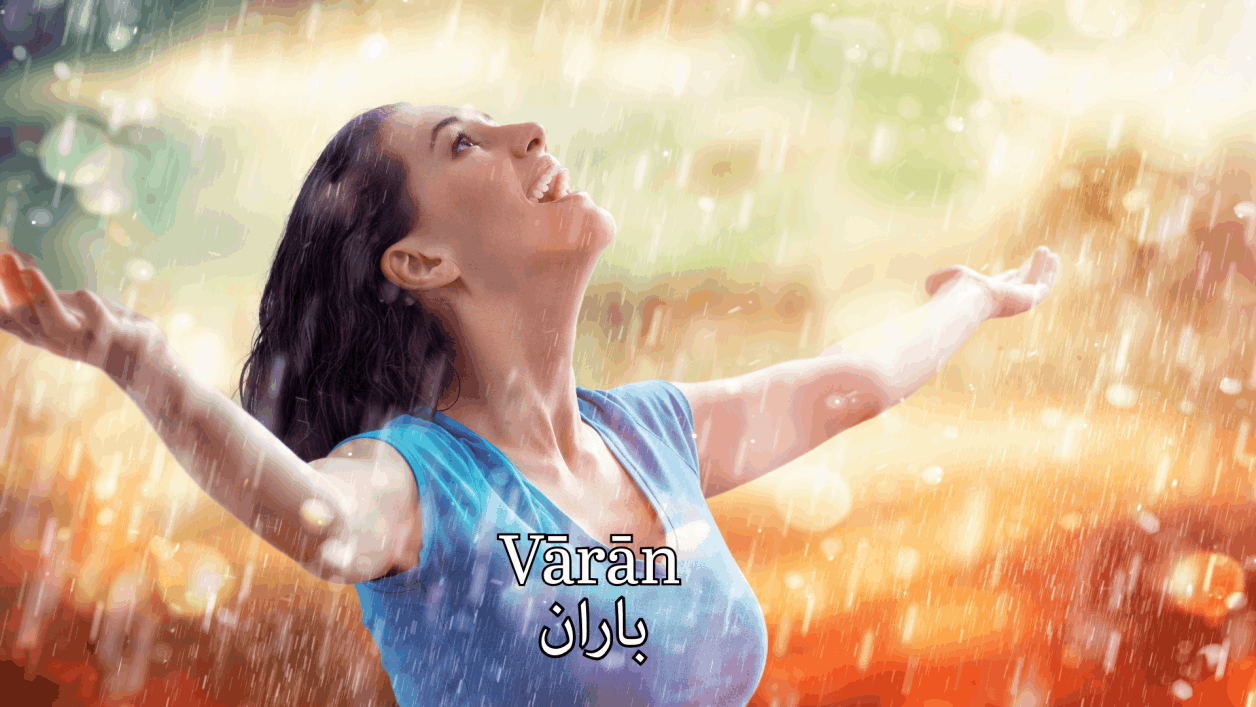 omid sayareh music composer video clips